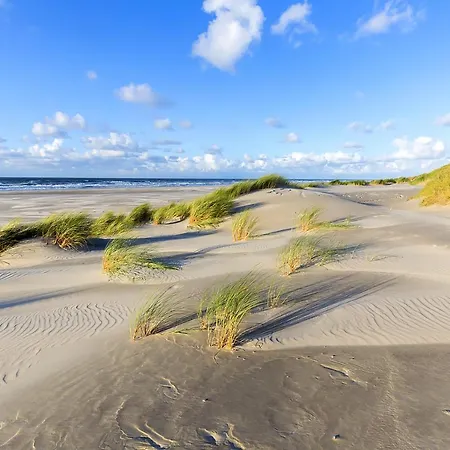 Hotel Liberte Schoorl